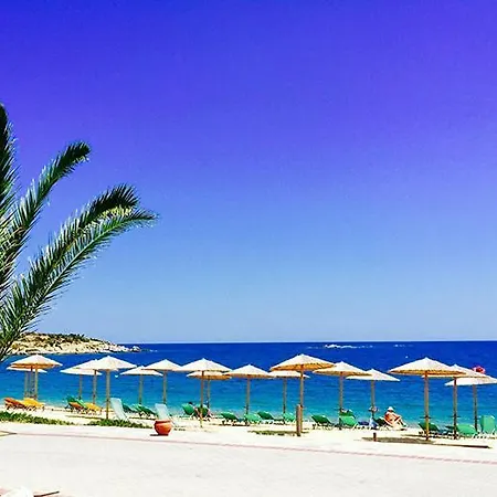 Vilas In The Garden By The Sea Sykia Chalkidikis Exterior photo